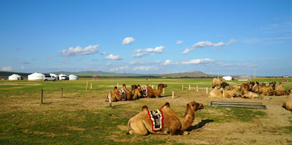 Mongolia sand dune