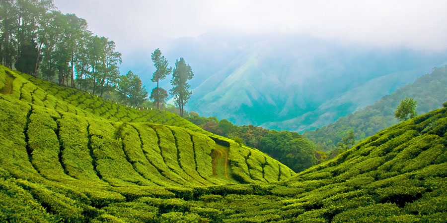 Munnar Top Station