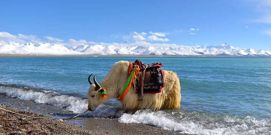 Namtso lake in Tibet