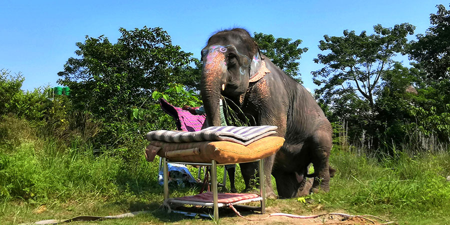 Chitwan National Park