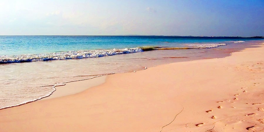 Pink Sands Beach