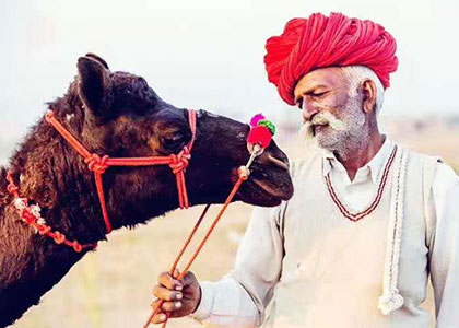 Pushkar Camel Fair