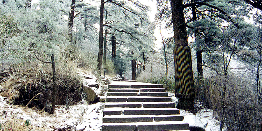 Shimla