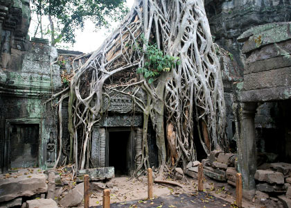 Ta Prohm Temple