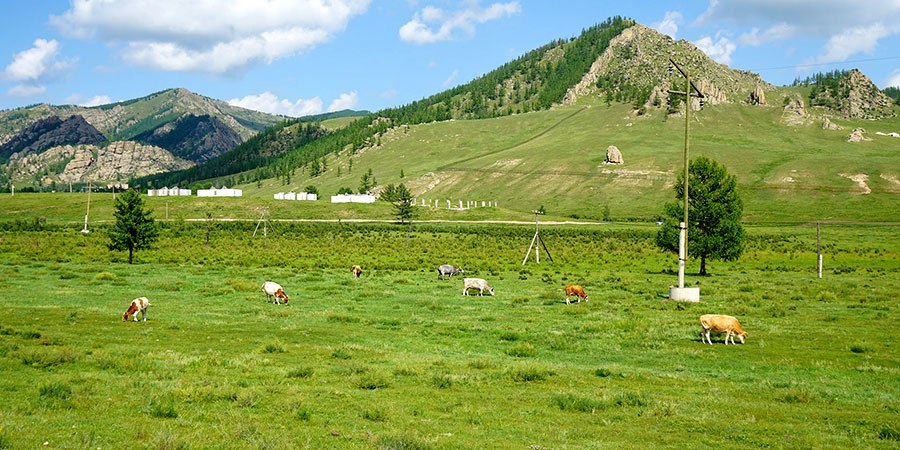 Terelj National Park