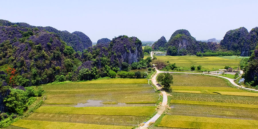 Terraced Steeps in Ninh Binh