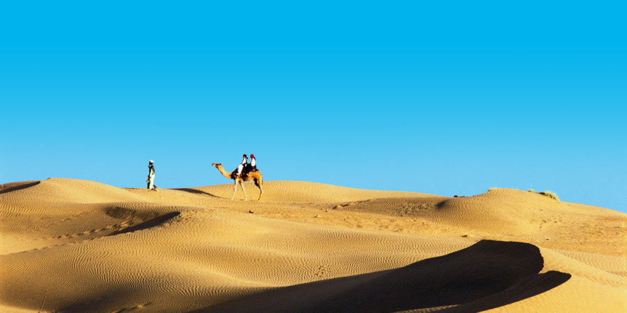 Thar Desert