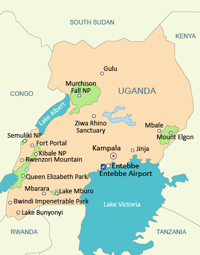 Uganda Tour: 2024/2025 Private Safari & Gorilla Trekking