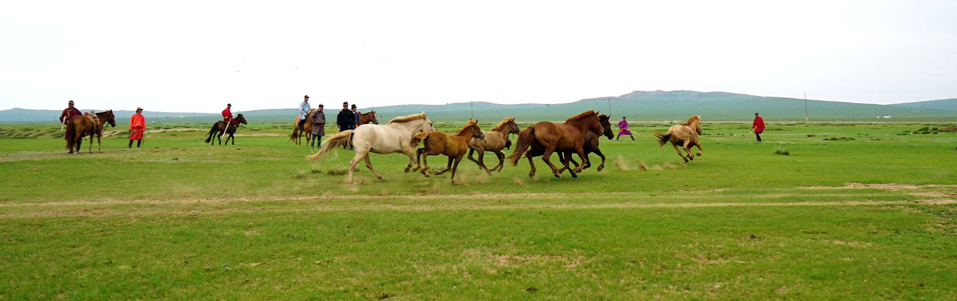 Ulaanbaatar Steppes