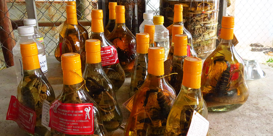 Vietnam Snake Wine