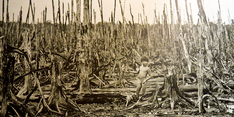 Orphan after the Vietnam War