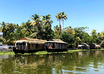 Cruising the Backwaters