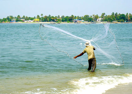 Chinese Fishing Nets Kerala