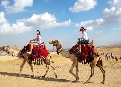 Egypt Camel Ride