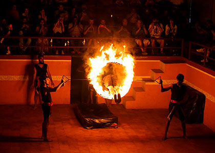Traditional Martial Arts Performance