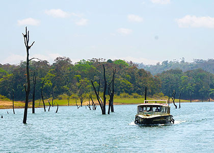 Periyar National Park