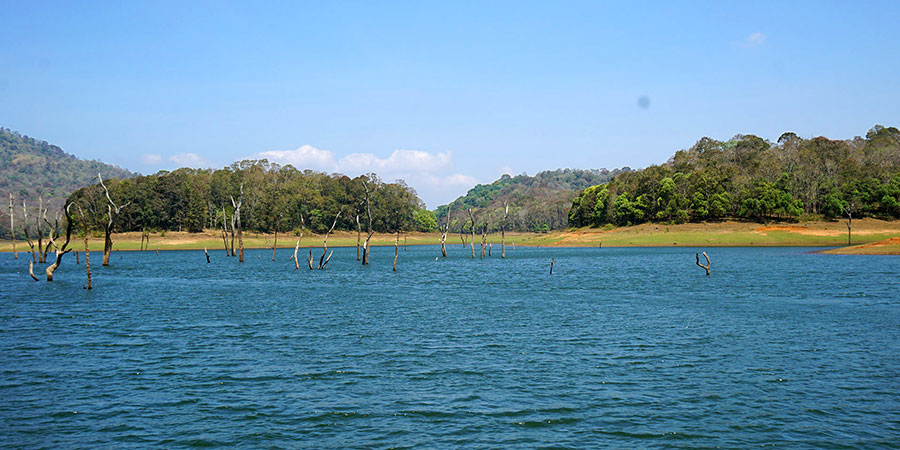 Periyar Lake in India