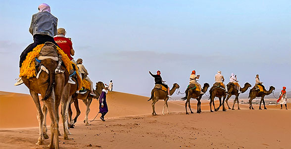 Sahara Desert