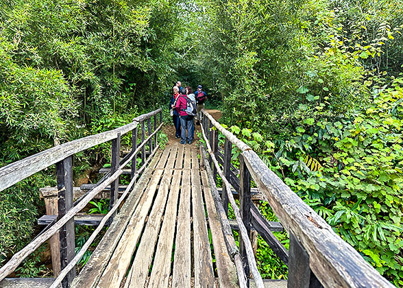 Suspension bridge, Phakding