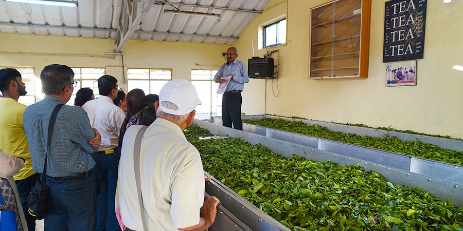 One of A kind Tea Museum at Munnar, India: Timings & What to Do