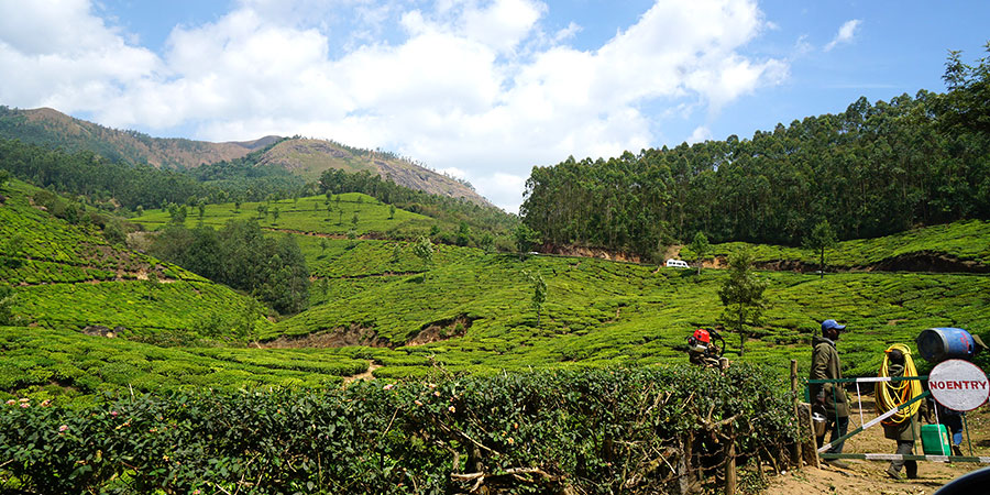 Plan a Trekking at Top Station