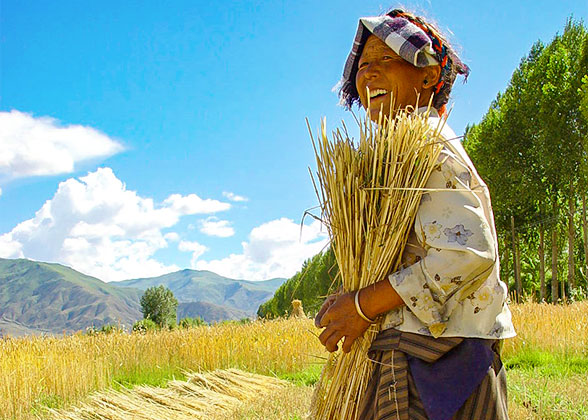 Local villagers