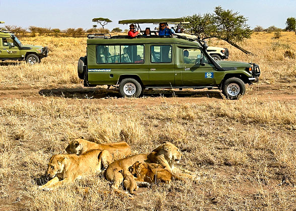 Kenya Safari