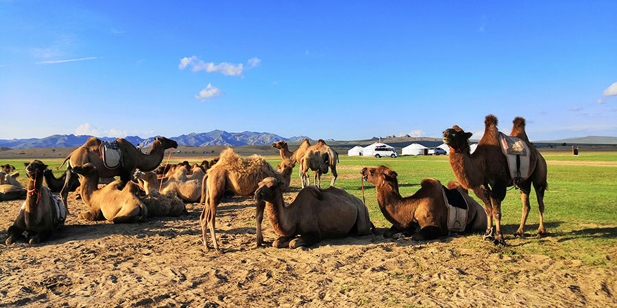 Mongolia Sand Dunes