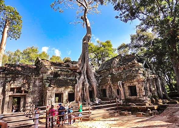 Ta Prohm Temple