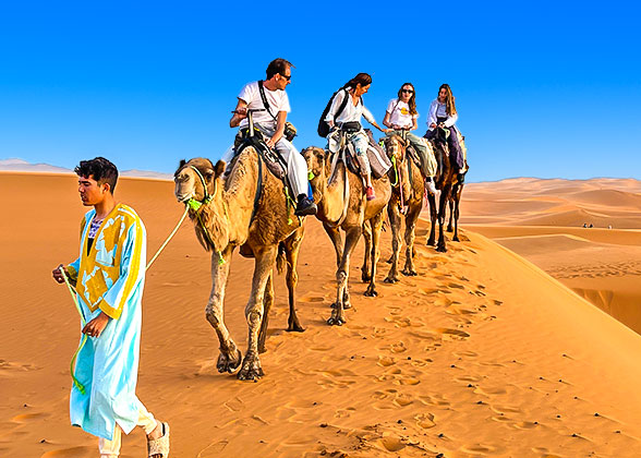 Sahara Desert