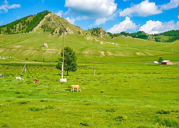 Terelj National Park