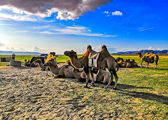 Altai Tavan Bogd National Park