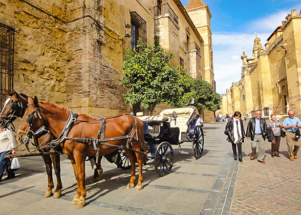 Horse Carriage in Lisbon