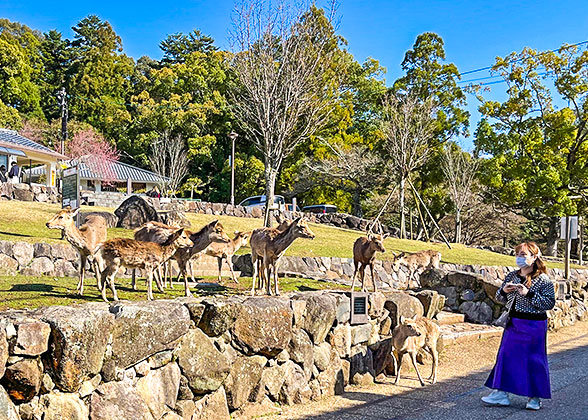 Mount Wakakusa