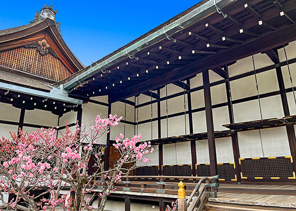 A corner of Sanjusangendo