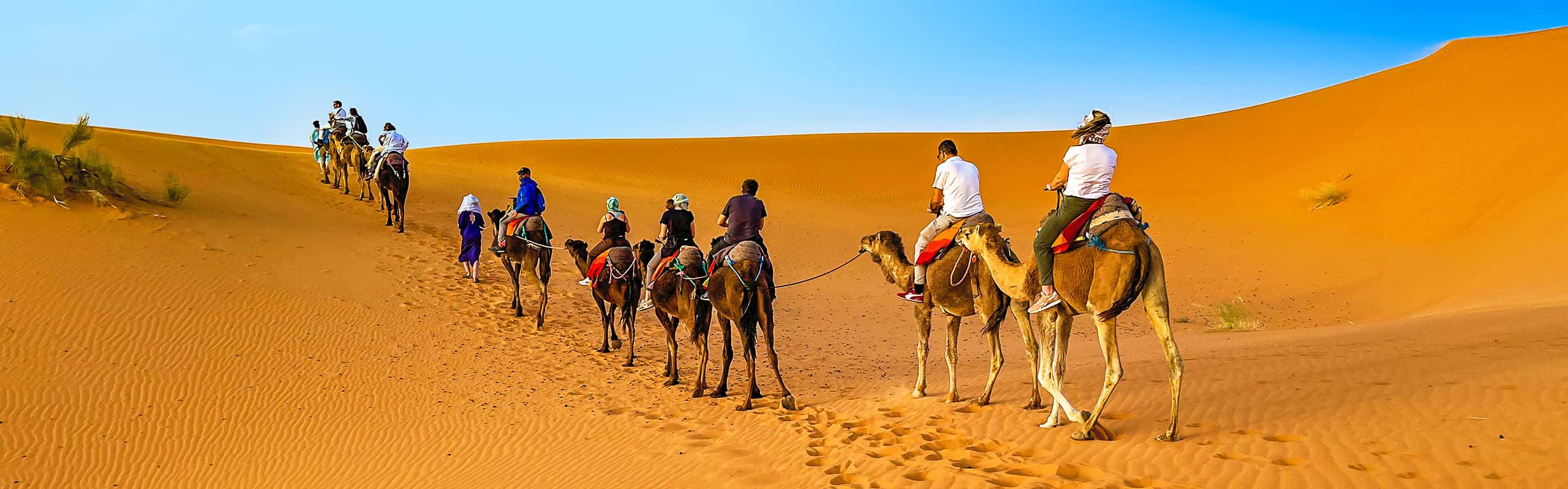Camel ride across Sahara Desert