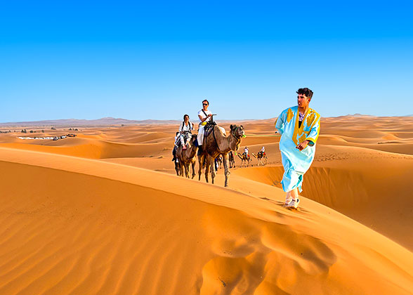 Camel Riding in Sahara Desert