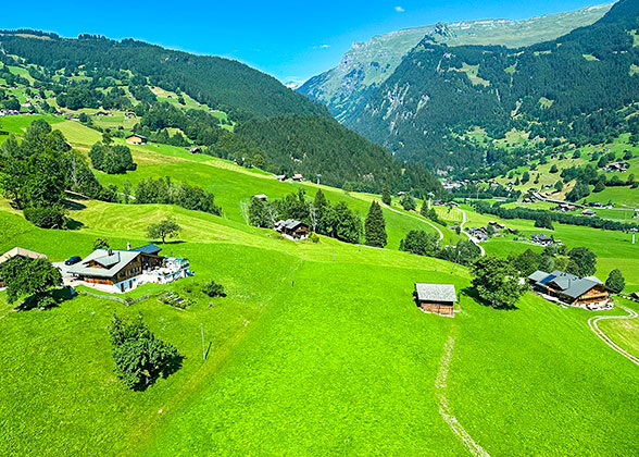Charming Landscape