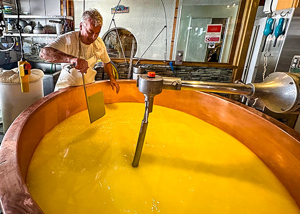 Cheese Making