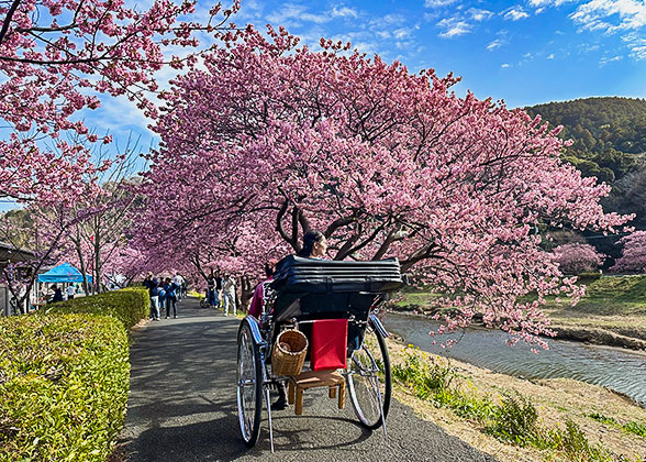Kyoto Imperial Palace Park