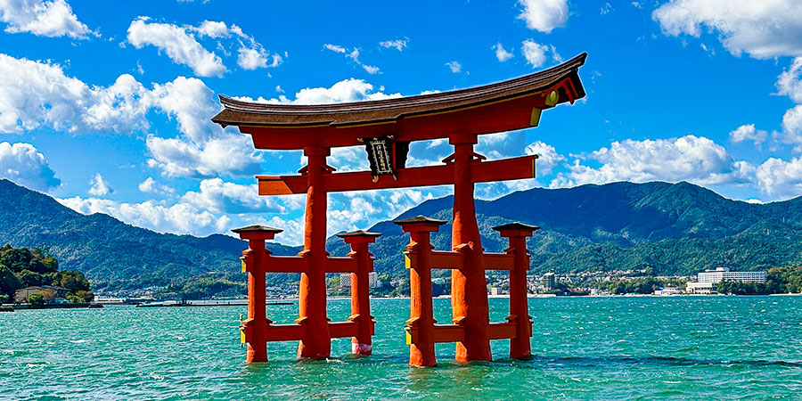 A close-up of Otorii floating on sea