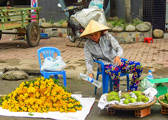 Local Market