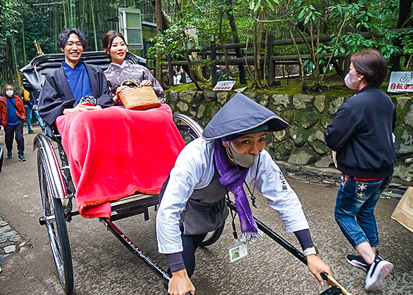 Rickshaw ride through bamboo grove