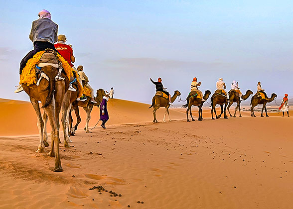 Sahara Desert