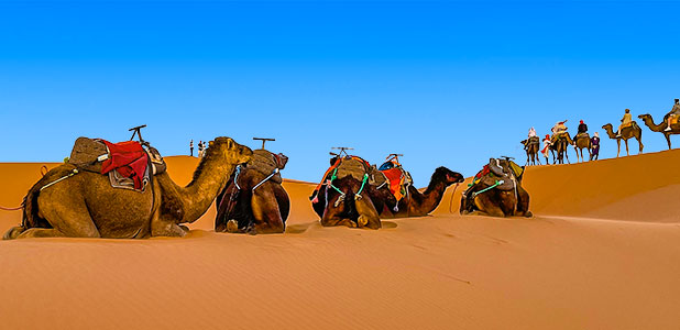 Sahara Desert Morocco