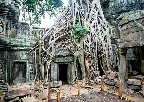 Ta Prohm Temple