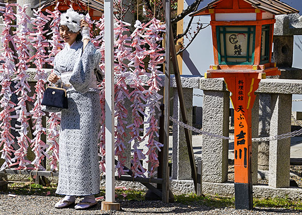 Beautiful girl in Yasaka Shrine