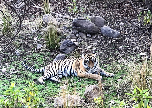 Australia Zoo