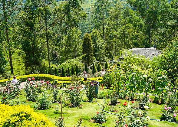 Royal Bontical Garden