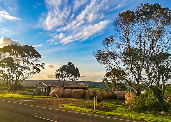 Countryside Scene